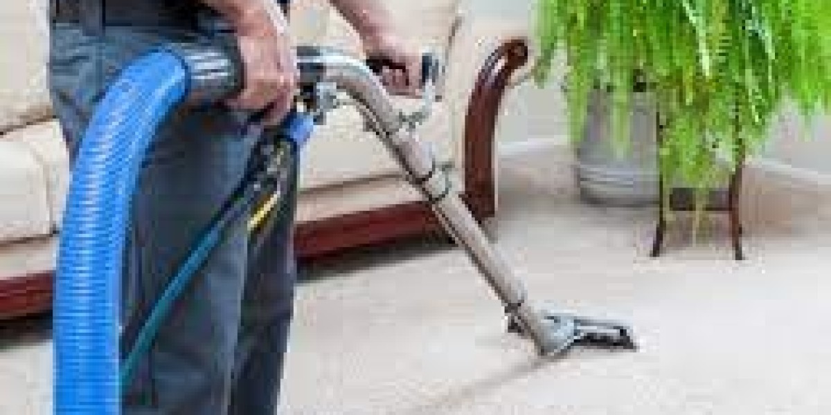 Dust Bunnies Begone: Carpet Cleaning and Allergen Control