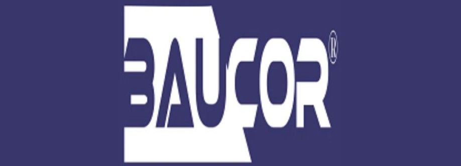 Baucor Baucor Cover Image