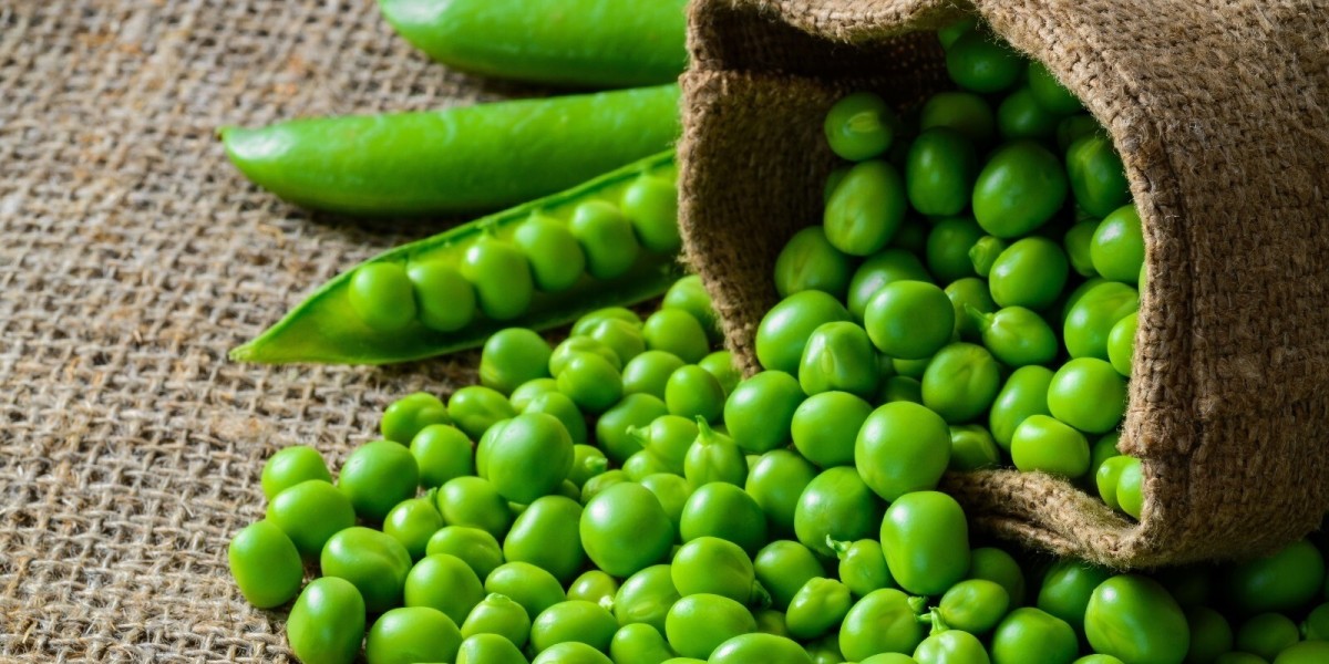 In-depth Analysis: Green Pea Processing Plant Project Report 2024 - Requirements and Setup Cost